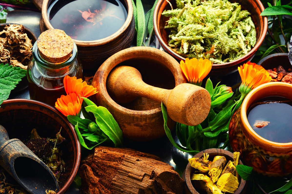 Medicinal Plants in Medicine